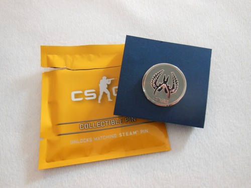 Cs2 pin guardian - cs:go,