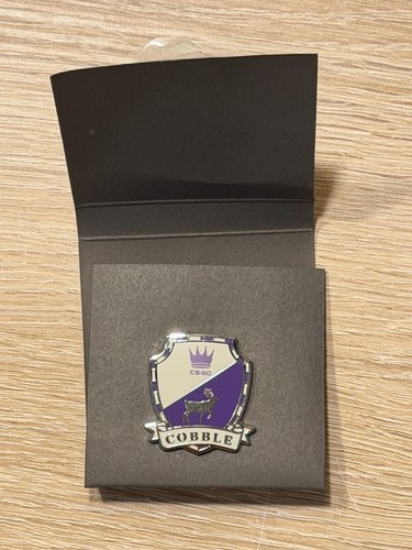 Genuine pin - cs:go,