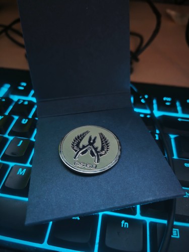 Collectible pin guardian - cs:go,
