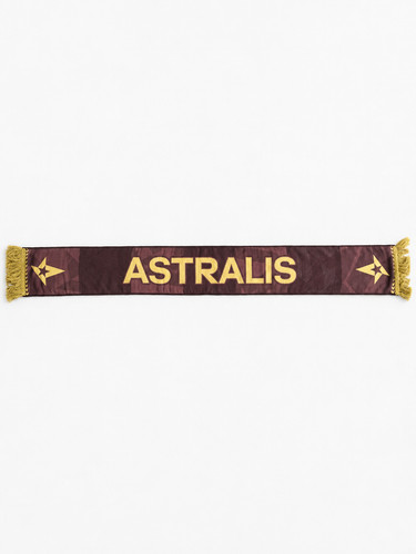 Astralis esports scarf counter - esports,