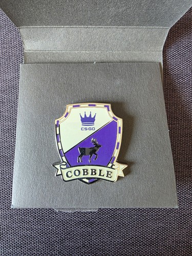 Cs2 cobblestone pin - cs:go,