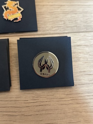 Pin serie guardian - cs:go,
